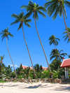 Royal Living Residence 